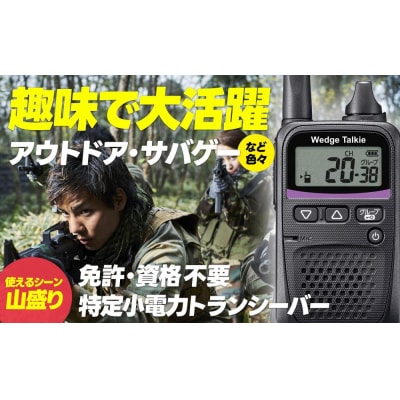 トランシーバー WED-NO-001 イヤホンマイクセット【ウェッジ株式会社】