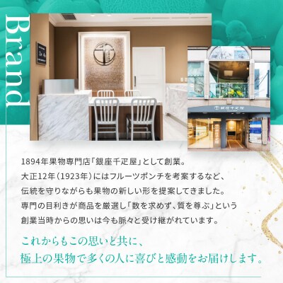 <お歳暮仕様>【銀座千疋屋】銀座フルーツチーズケーキPGS-390|贅沢スイーツ 人気スイーツ