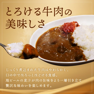 【黄桜】京都麦酒地ビールカレー(200g×10個)