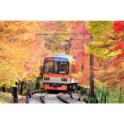 【叡山電車】叡山電車1日乗車券「えぇきっぷ」3枚セット