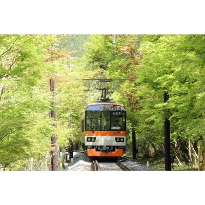 【叡山電車】叡山電車1日乗車券「えぇきっぷ」2枚セット