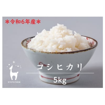 【京都ファーム】令和6年産 京都ファームのコシヒカリ 精米5kg