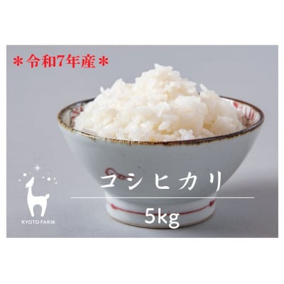 【京都ファーム】令和7年産 京都ファームのコシヒカリ 精米5kg 