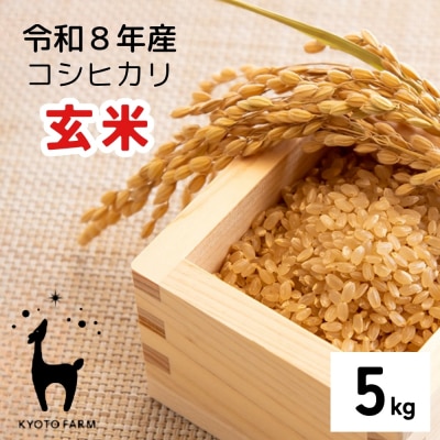【京都ファーム】新米 コシヒカリ 玄米5kg|令和8年産 人気