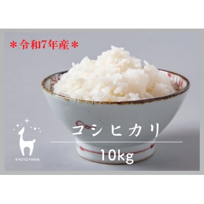 【京都ファーム】令和7年産 京都ファームのコシヒカリ 精米10kg 