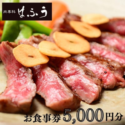 【肉専科はふう】お食事券 5,000円分(ステーキ/ビフカツ)