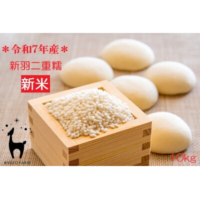 【新米先行受付】【京都ファーム】令和7年産 京都ファームのもち米 新羽二重糯10kg 
