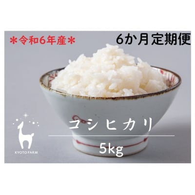 〈6か月定期便〉【京都ファーム】令和6年産 京都ファームのコシヒカリ 5kg