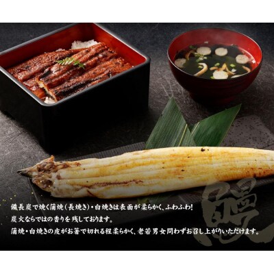 【秋月】うなぎ蒲焼炭火手焼　うなぎ白焼炭火手焼きの紅白セット