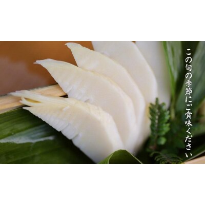 先行受付【筍農家】京都産 朝堀り湯がきたけのこ 優秀品 1KG(3-5本)皮なし