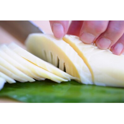 先行受付【筍農家】京都産 朝堀りたけのこ 優秀品　4KG(3-7本)