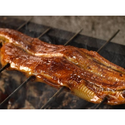 【土井活鰻　金閣寺店】うなぎの蒲焼2尾と山椒煮セット