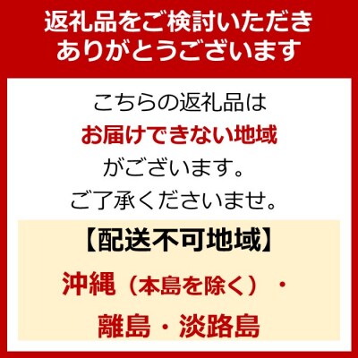 電動アシスト自転車 ワージー26インチ【カラー:マットカーキ】(自転車,街乗り自転車,電動自転車)