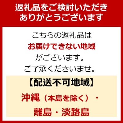 電動アシスト自転車 ワージー26インチ【カラー:マットカーキ】|京都 自転車 電動 人気 おしゃれ