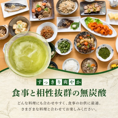 【タカラ】宝焼酎の濃いお茶割り～カテキン2倍～(335ml×24本)|焼酎 酎ハイ 人気セット