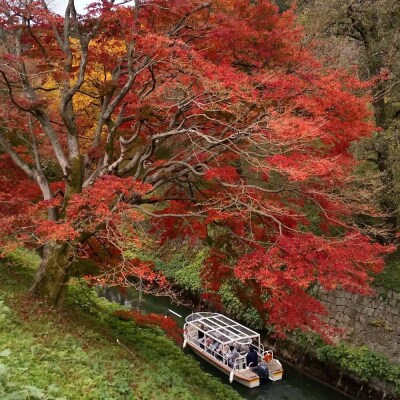 【びわ湖疏水船:三井寺便】秋シーズン先行予約権(1名様分の先行予約の権利と乗船引換券)