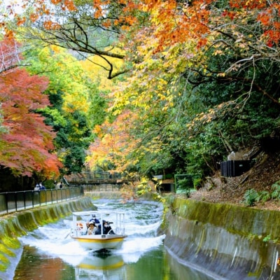 【びわ湖疏水船:三井寺便】秋シーズン先行予約権(1名様分の先行予約の権利と乗船引換券)