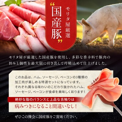 【京都モリタ屋】モリタ屋ハム・ソーセージ・ベーコンセット|京都 加工品 人気グルメ