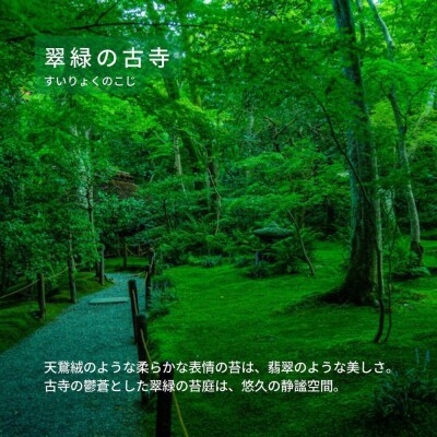 【洛景工房】ウォレットキーケース「SMART MOVE!PLUS!」<翠緑の古寺(緑)>