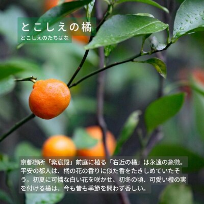【洛景工房】ウォレットキーケース「SMART MOVE!PLUS!」<とこしえの橘(オレンジ)>