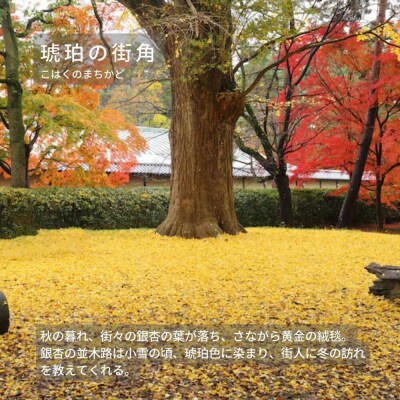 【洛景工房】ウォレットキーケース「SMART MOVE!PLUS!」<琥珀の街角(黄)>