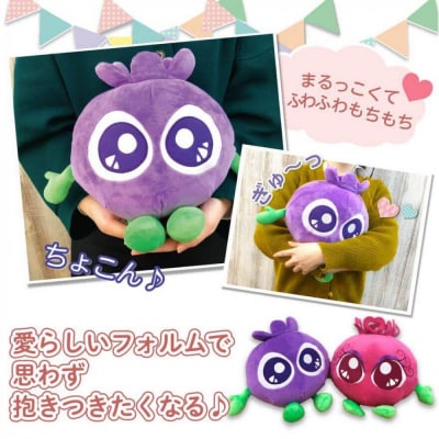 【わかさ生活】ブルブルくんぬいぐるみ、ブルブルくんぬいぐるみ巾着