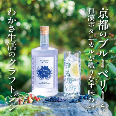 【わかさ生活】ブルーベリードライジン「Berry&Berry」700ml×1本 アルコール度数45度