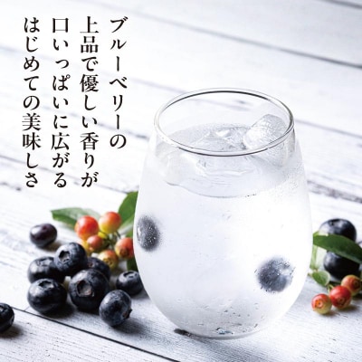 【わかさ生活】ブルーベリードライジン「Berry&Berry」700ml×1本 アルコール度数45度