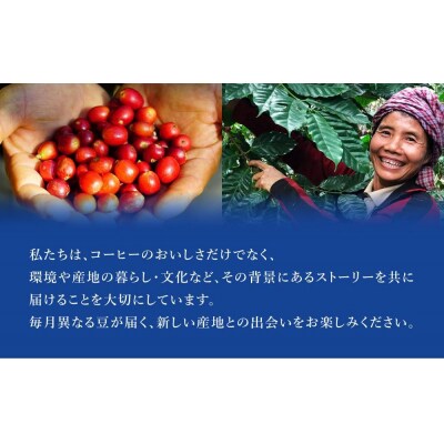 産地を旅するコーヒー定期便　全6回【粉】