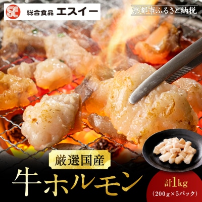 【エスイー】厳選国産牛ホルモン200g×5パック 計1kg