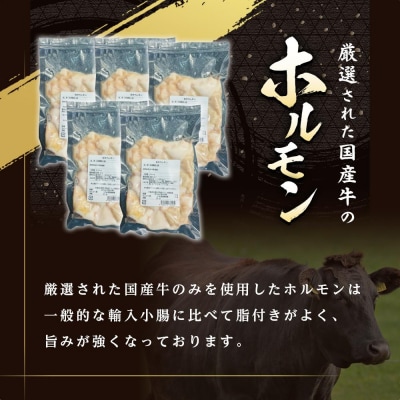 【エスイー】厳選国産牛ホルモン200g×5パック 計1kg