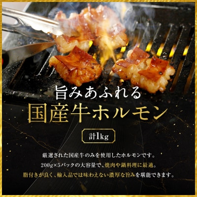 【エスイー】厳選国産牛ホルモン200g×5パック 計1kg