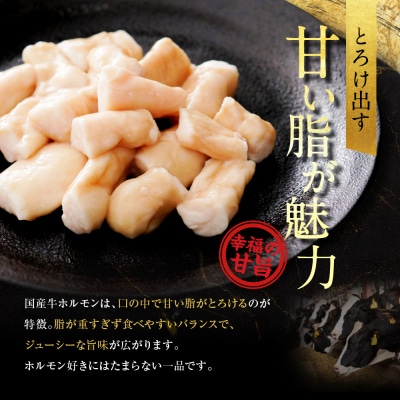 【エスイー】厳選国産牛ホルモン200g×5パック 計1kg