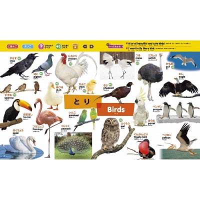 小学館 累計発行80万部突破 タッチペンで音が聞ける!はじめてずかん1000英語付|知育 図鑑 人気