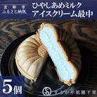 【するがや祇園下里】ひやしあめミルクアイスクリーム最中 5個セット
