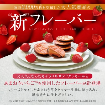 【期間限定11月から発送】ザ・スウィーツ 苺キャラメルサンドクッキー(8個)