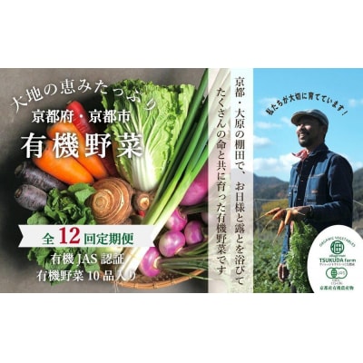 ◆全12回定期便◆【つくだ農園】《有機JAS認証 有機野菜10品入り》