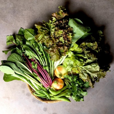 ◆全12回定期便◆【つくだ農園】《有機JAS認証 有機野菜10品入り》