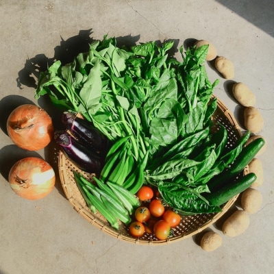 ◆全12回定期便◆【つくだ農園】《有機JAS認証 有機野菜10品入り》