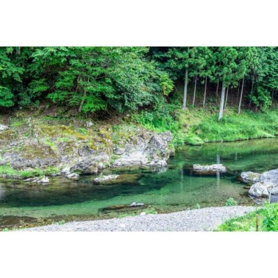 【高島屋選定品】[RETOUR KYOTO] グランピングヴィラペア宿泊券