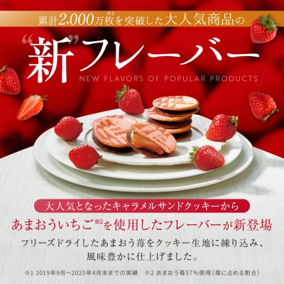 ◆ギフト包装対応◆ザ・スウィーツ 苺キャラメルサンドクッキー(12個)|スイーツ クッキー 人気