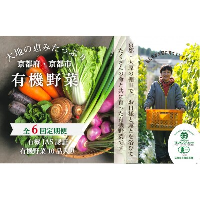 ◆全6回定期便◆【つくだ農園】《有機JAS認証 有機野菜10品入り》