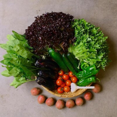 ◆全6回定期便◆【つくだ農園】《有機JAS認証 有機野菜10品入り》