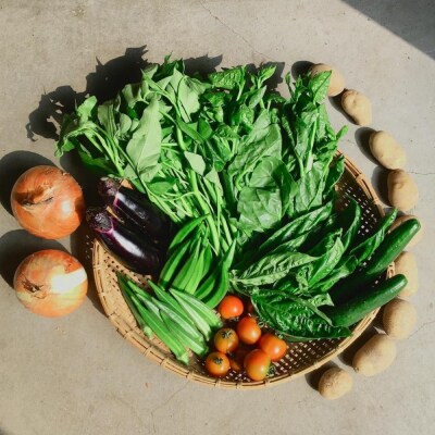 ◆全6回定期便◆【つくだ農園】《有機JAS認証 有機野菜10品入り》