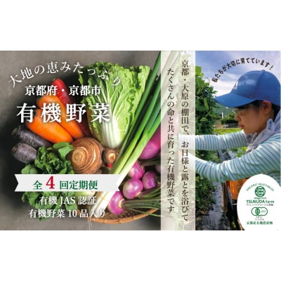 ◆全4回定期便◆【つくだ農園】《有機JAS認証 有機野菜10品入り》