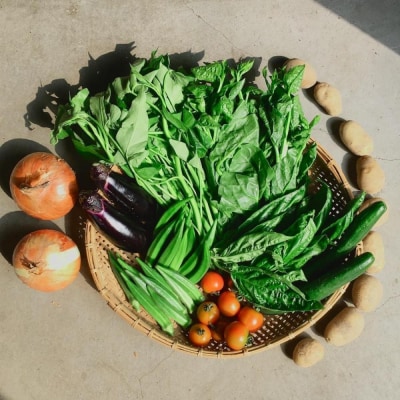 ◆全4回定期便◆【つくだ農園】《有機JAS認証 有機野菜10品入り》