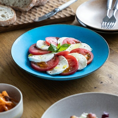 【瑞光窯-ZUIKOU-】プレート L ペアセット(ターコイズブルー/青)