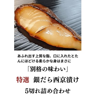 <お中元・夏ギフト>【京の魚匠 ぼんち】特選銀だら西京漬け5切れ詰め合わせ