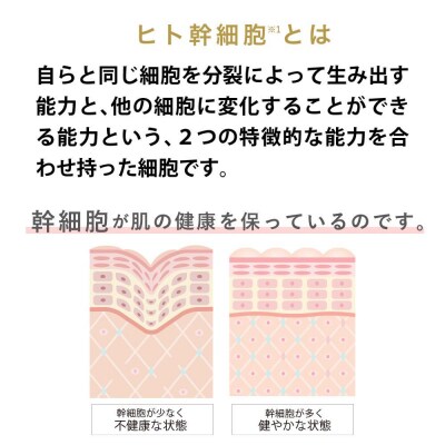 【ジョワセリュール】ヒト幹細胞培養エキス配合 エマルジョン