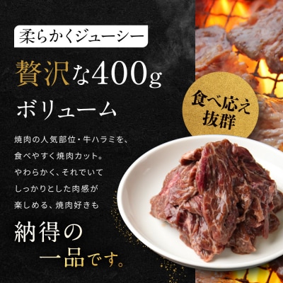 《9月末までの限定寄付額》【岡山フードサービス】もみ醤油たれ漬け 焼肉屋さんの牛ハラミ 400g